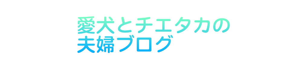 愛犬とチエタカの夫婦ブログ